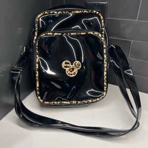 Disney Animal Kingdom Back Pack. Approximately 13”x10”